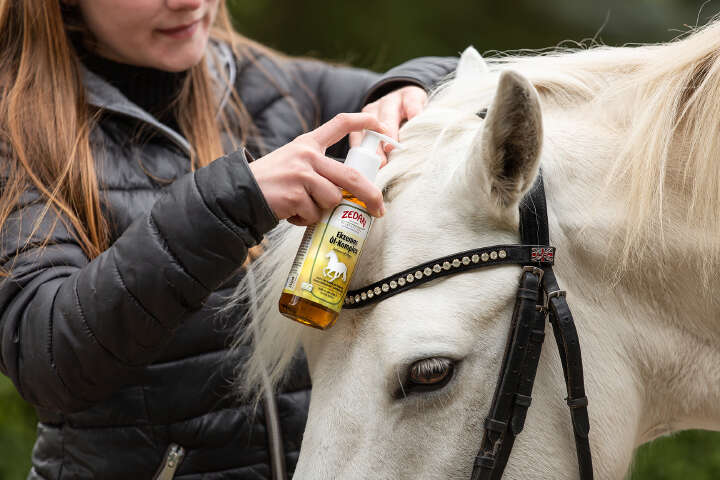ZEDAN Ekzemer Öl-Komplex Intensivpflege 250 ml